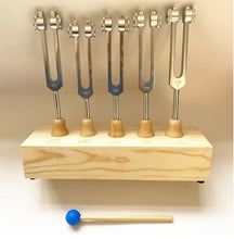 Load image into Gallery viewer, 5 pc Binaural Brainwave Tuning Fork Set