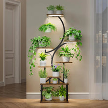 Load image into Gallery viewer, 8 Tier Multi-layered Instrument Display Shelf with Lights