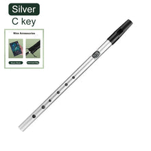 Load image into Gallery viewer, Irish Tin Whistle Key of C or D + FREE Case and Storage Bag