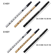 Load image into Gallery viewer, Irish Tin Whistle Key of C or D + FREE Case and Storage Bag