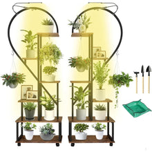 Load image into Gallery viewer, 2pcs, 6 Tier Heart Shaped Multi-layered Instrument Display Shelf with Lights