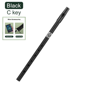 Irish Tin Whistle Key of C or D + FREE Case and Storage Bag