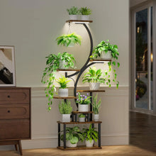 Load image into Gallery viewer, 8 Tier Multi-layered Instrument Display Shelf with Lights