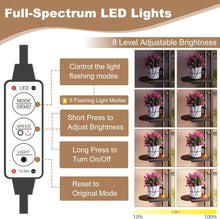 Load image into Gallery viewer, 9 Tier Half Moon-Shaped Multi-layered Instrument Display Shelf with LED Light